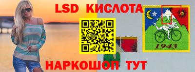 прущие грибы Абакан