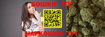 прущие грибы Абакан