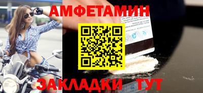 прущие грибы Абакан