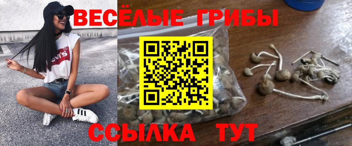 Альметьевск  Псилоцибиновые грибы прущие грибы  Вход с VPN 